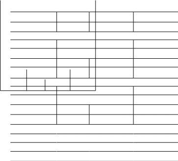 Shape161