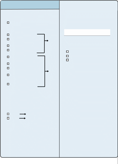Shape68