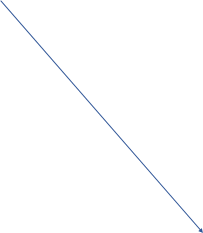 Shape17
