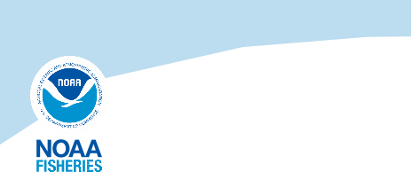 Shape1